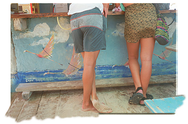 american_windsurfer_4.3_betwitched_in_Bonaire_LEGS-AT-BAR