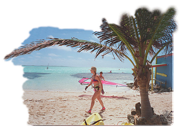 american_windsurfer_4.3_betwitched_in_Bonaire_Palm-Tree