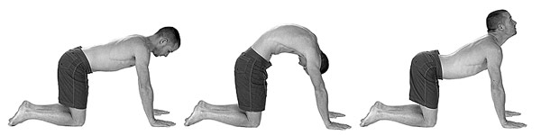 american_windsurfer_5.1_Yoga-Cat-stretch-s