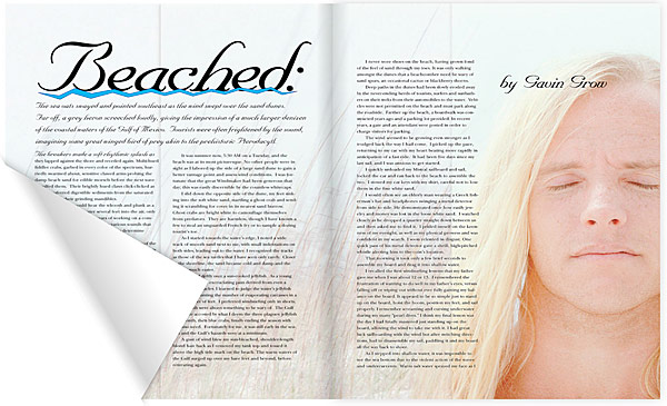 american_windsurfer_5.5_beached_gavin-grow_mag