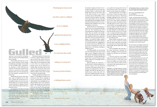 american_windsurfer_6.3_sea_gulls_spread2-s