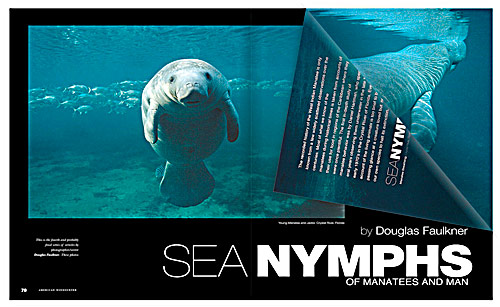 american_windsurfer_6.5_sea-nymphs_mag