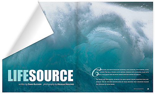 american_windsurfer_8.1_lifesource_mag